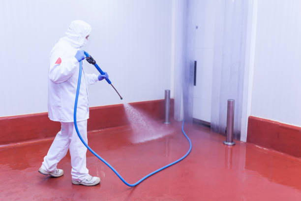 Best Sign and Awning Cleaning  in Saucier, MS