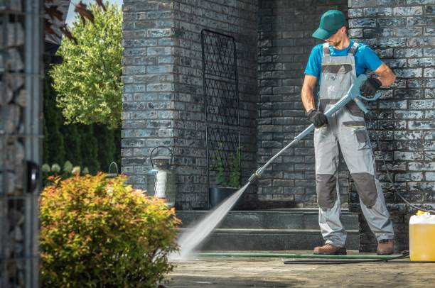 Best Solar Panel Cleaning  in Saucier, MS