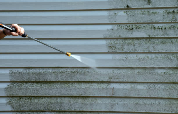 Animal Enclosure Cleaning in Saucier, MS
